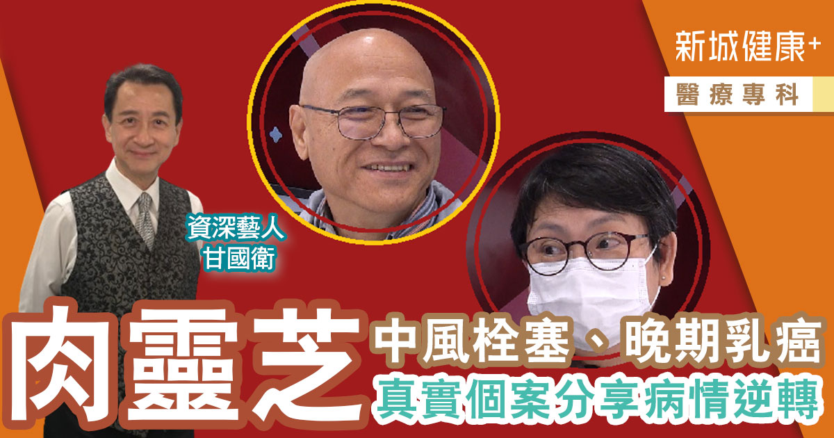 傳媒追訪